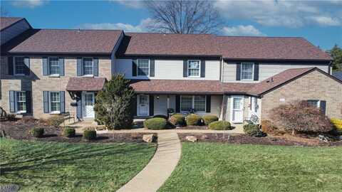 Roscommon, CANONSBURG, PA 15317
