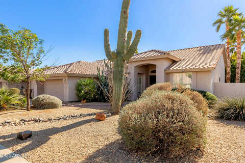 Cypress, GOODYEAR, AZ 85395