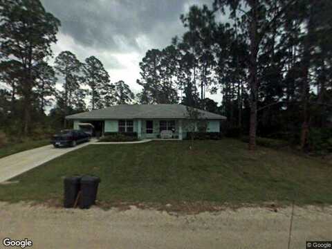 Barn Owl, SEBRING, FL 33870