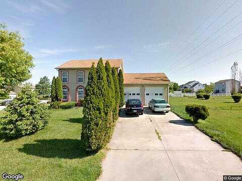 Bitternut, YORK, PA 17404