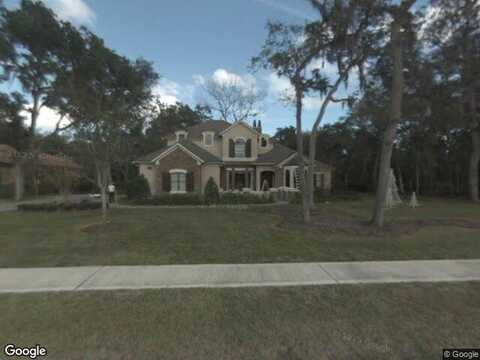 Leaning Tree, SAINT AUGUSTINE, FL 32095