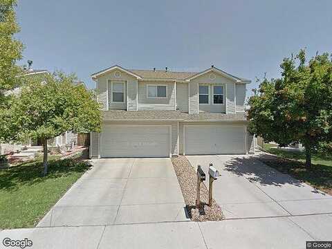 Macaw, BRIGHTON, CO 80601