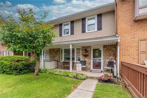 Aster, MACUNGIE, PA 18062