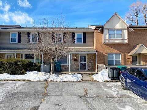 Aster, MACUNGIE, PA 18062