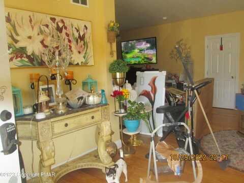 Bearfoot, SAYLORSBURG, PA 18353