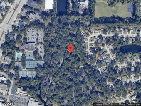 Big Tree, JACKSONVILLE, FL 32257