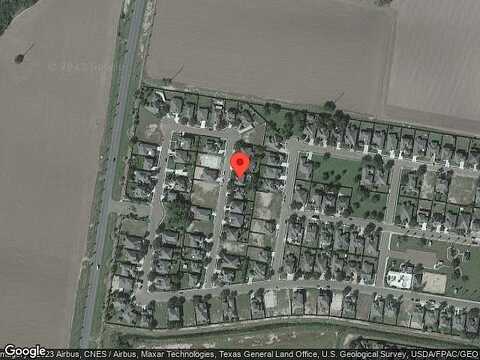 Bunting, MISSION, TX 78572