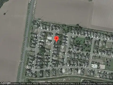 Bunting, MISSION, TX 78572