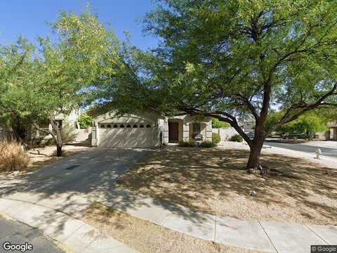 Desert Olive, ORO VALLEY, AZ 85755
