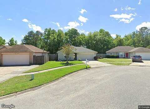 Tigress, MIDDLEBURG, FL 32068