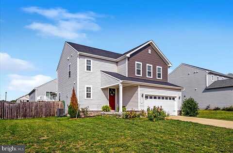 Nathan, STEPHENS CITY, VA 22655