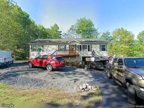 Black Bear, TOBYHANNA, PA 18466