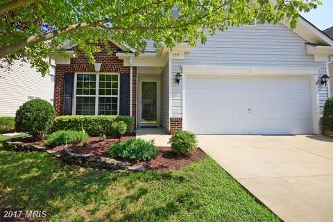 Smithfield, FREDERICKSBURG, VA 22406