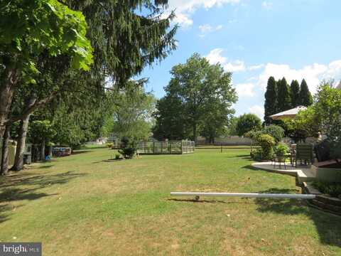 Dogwood, DOUGLASSVILLE, PA 19518