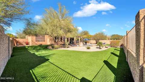 Horned Owl, SCOTTSDALE, AZ 85266
