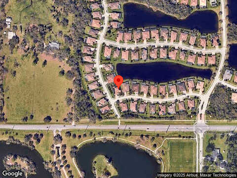 Horned Owl, SARASOTA, FL 34241