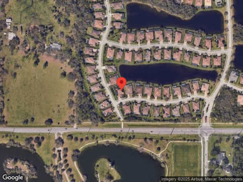 Horned Owl, SARASOTA, FL 34241