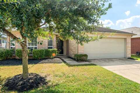 Mt Elbrus, KATY, TX 77449