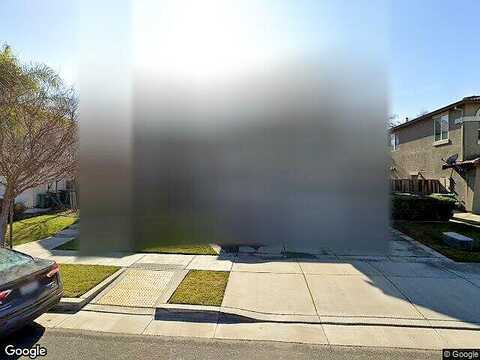 Swainsons Hawk, STOCKTON, CA 95209