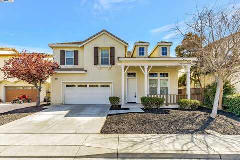 Yellow Rose, OAKLEY, CA 94561