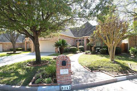 Agassi Ace, SPRING, TX 77379