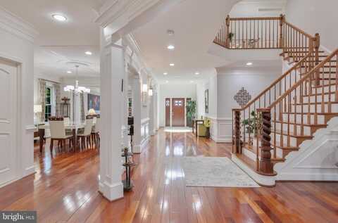 Washington, ARLINGTON, VA 22205