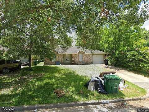 Dalmatian, HOUSTON, TX 77045