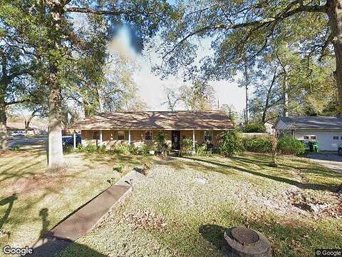 Silver Maple, HUFFMAN, TX 77336