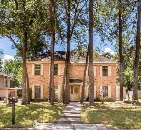 Pine River, KINGWOOD, TX 77339