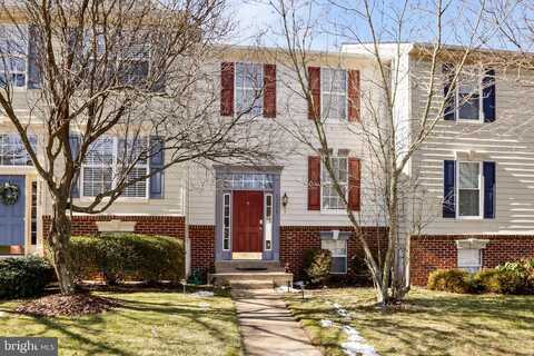 Bristol, ROUND HILL, VA 20141