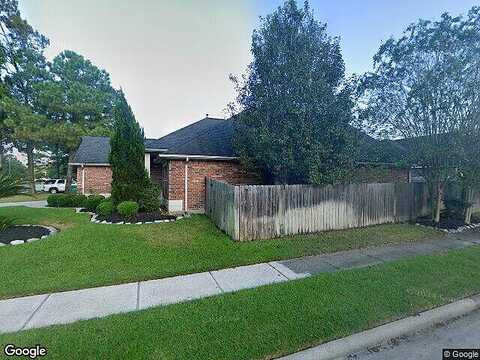 Eastern Redbud, HOUSTON, TX 77044