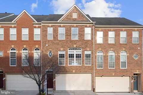 Kirby Lionsdale, LORTON, VA 22079