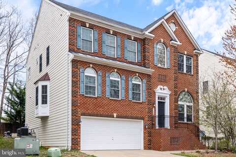 Angelo, ANNANDALE, VA 22003