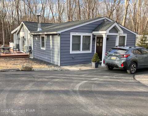 Pine Tree, ALBRIGHTSVILLE, PA 18210