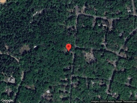 Pine Tree, ALBRIGHTSVILLE, PA 18210