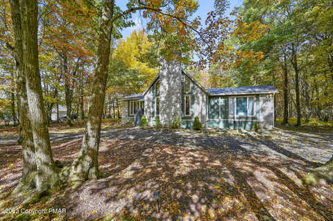Bull, LONG POND, PA 18334