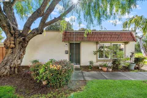 Lenoso, FREMONT, CA 94536