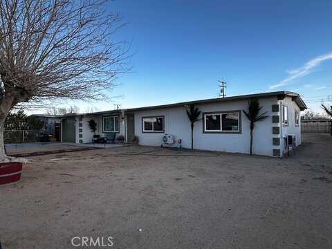 Juniper, BORON, CA 93516