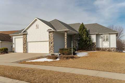Shetland, ROCHESTER, MN 55901