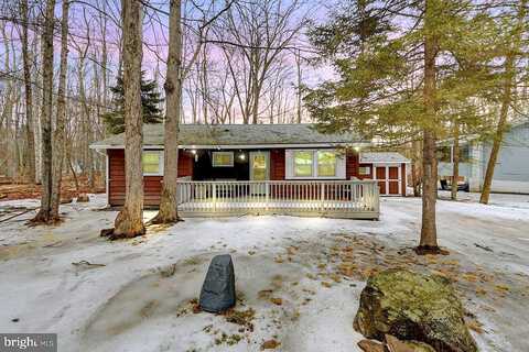 Delaware, POCONO LAKE, PA 18347