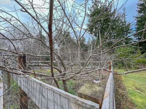 Joshua, NORTH BEND, OR 97459