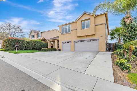 Kite, ANTIOCH, CA 94509