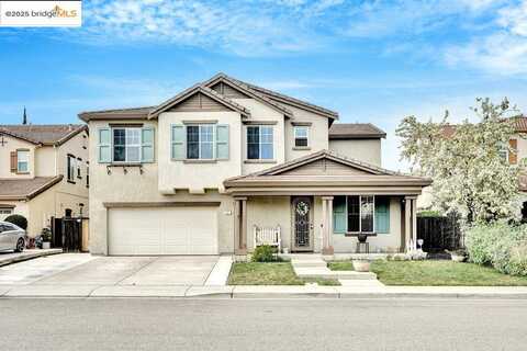 Morning Glory, OAKLEY, CA 94561