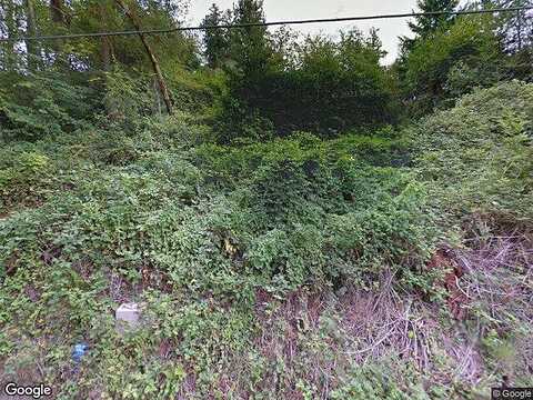 Pleasant Beach, BAINBRIDGE ISLAND, WA 98110