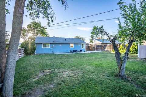 Willow, MOSES LAKE, WA 98837
