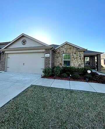 Pampa Grass, PRINCETON, TX 75407