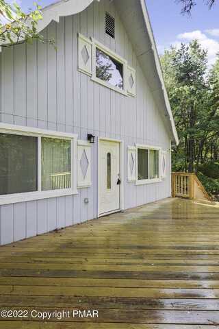 Clover, LONG POND, PA 18334