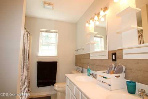 Clover, LONG POND, PA 18334