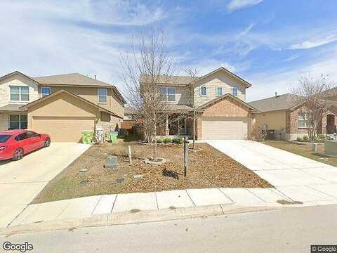 Cinnamon Teal, SAN ANTONIO, TX 78253