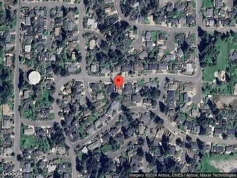 Forsythia, SPRINGFIELD, OR 97478